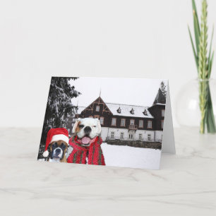 Carte de voeux pour les chiens de boîte de Noël