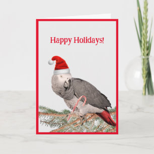 Carte de voeux pour les fêtes de perroquets gris d