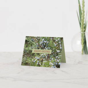 Carte de voeux pour les fêtes des baies de Juniper
