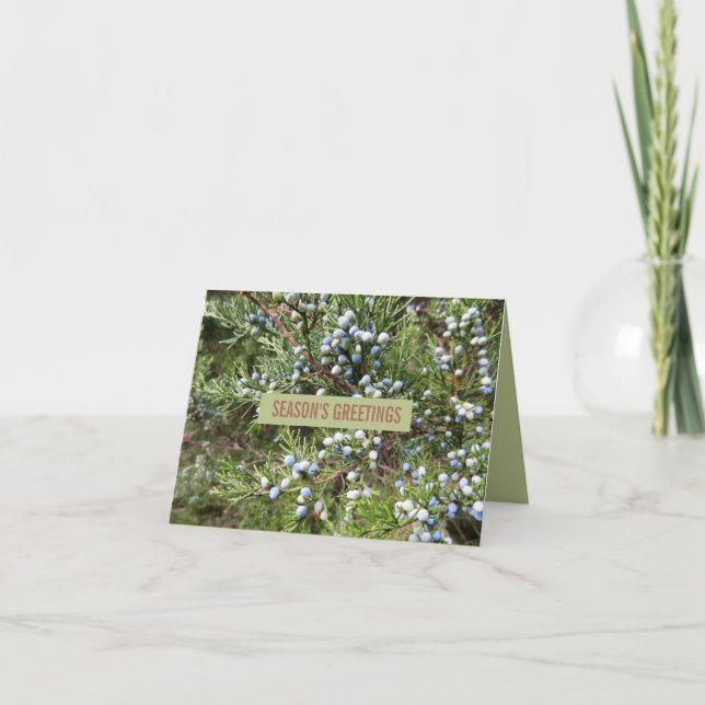 Carte de voeux pour les fêtes des baies de Juniper (Devant)