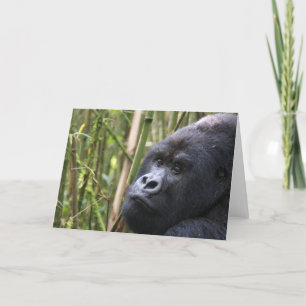Carte de voeux pour les gorilles des basses terres
