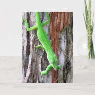 Carte de voeux pour l'oignon vert (Lizard)