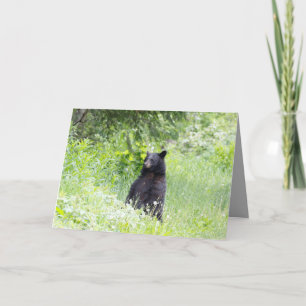 Carte de voeux pour l'ours noir