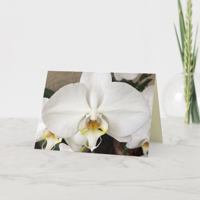 Carte de voeux pour orchidée blanche (Devant)
