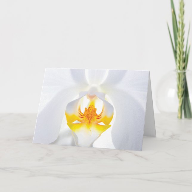 Carte de voeux pour orchidée blanche (Devant)
