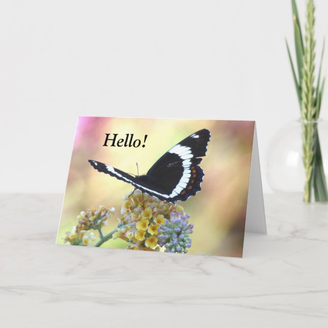 Carte de voeux pour papillon amiral (Devant)