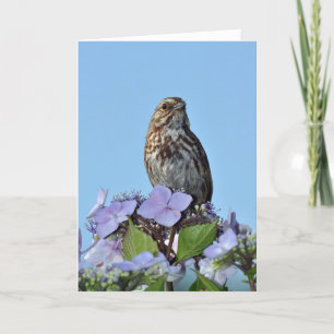 Carte de voeux pour petit oiseau-chanteur