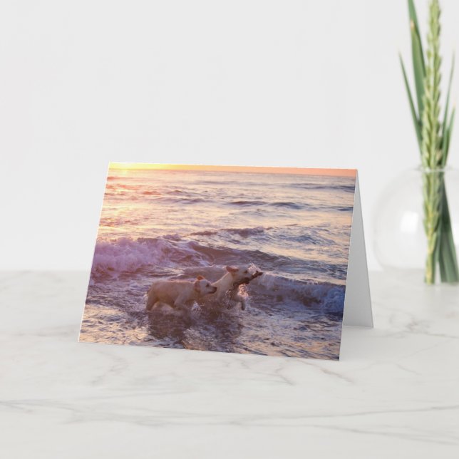 Carte de voeux pour photos vierges de Golden Retri (Devant)