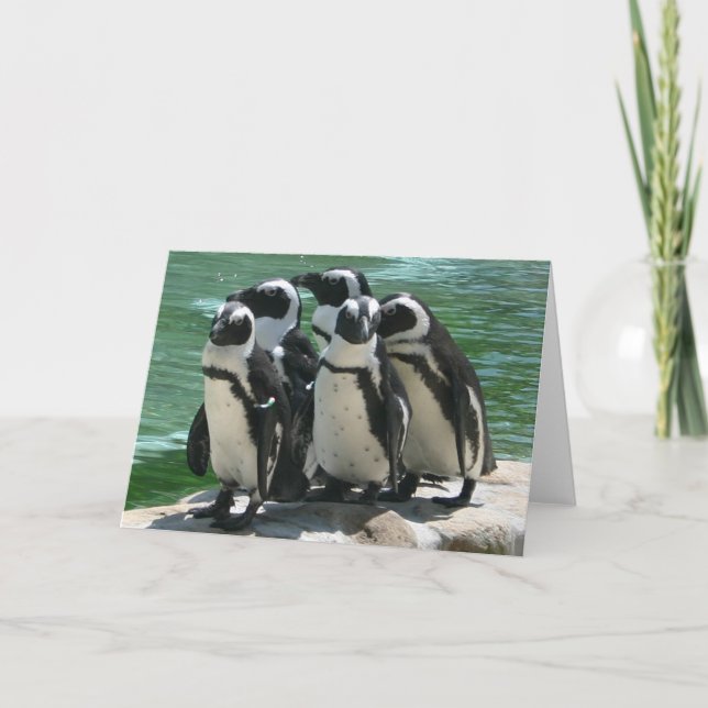 Carte de voeux pour pingouins (Devant)
