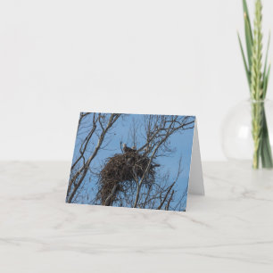 Carte de voeux pour problème double aigle