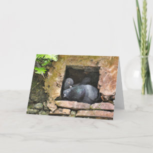 Carte de voeux pour tous les amoureux