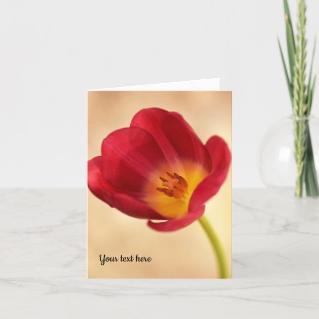 Carte de voeux pour tulipe rose unique (Devant)