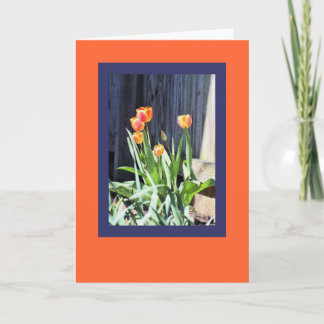 Carte de voeux pour tulipes lumineuses