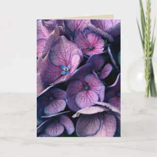 Carte de voeux pourpre de blanc d'hortensia