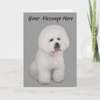 Carte de voeux précieuse de Bichon Frise