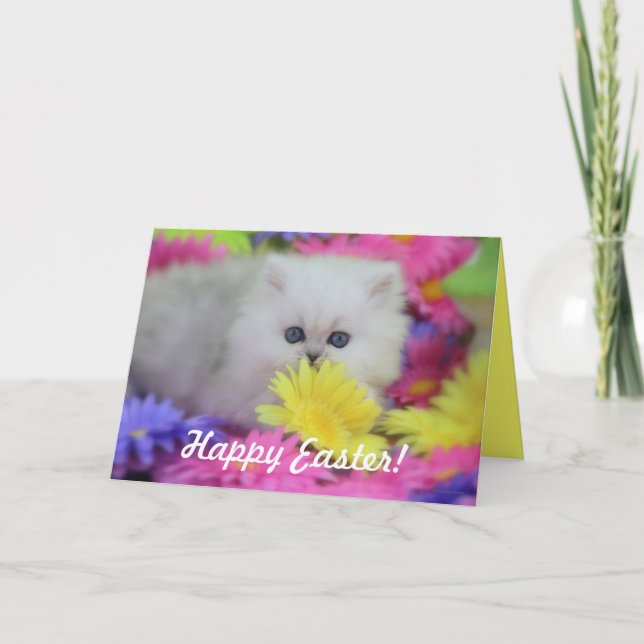 Carte de voeux précieuse de Pâques de chatons (Devant)