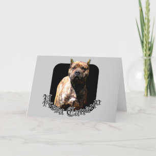 Carte de voeux Presa Canario