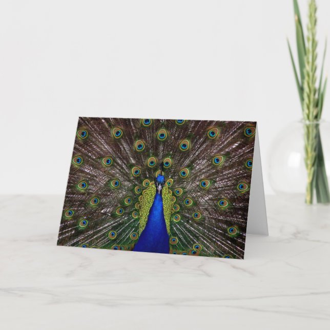 Carte de voeux Proud Peacock (Devant)