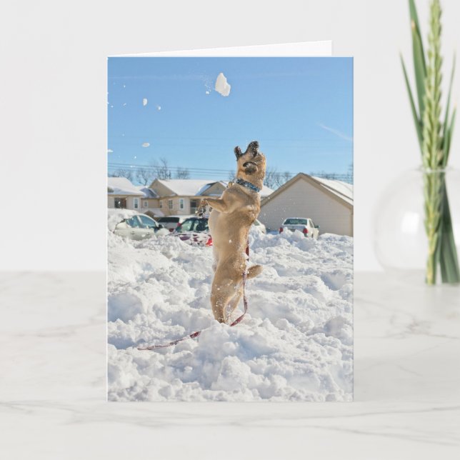 Carte de vœux Puggle! (Devant)
