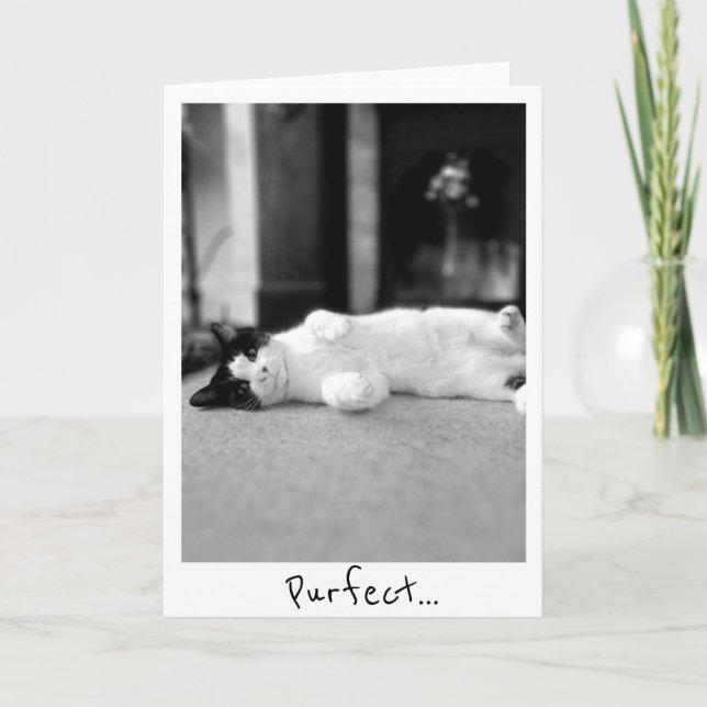 Carte de voeux Purfect Kitty (Devant)
