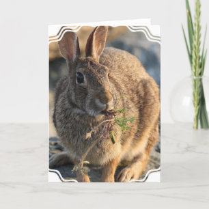 Carte de voeux Rabbit