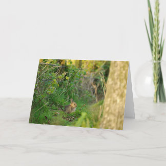 Carte de voeux - Rabbit 2