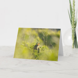Carte de voeux - Rabbit 3