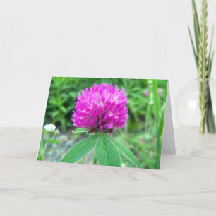Carte de voeux Red Clover Blossom 3