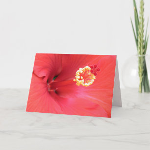 Carte de voeux Red Hibiscus