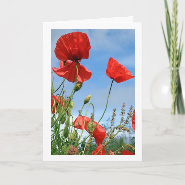 Carte de voeux Red Poppies (Devant)