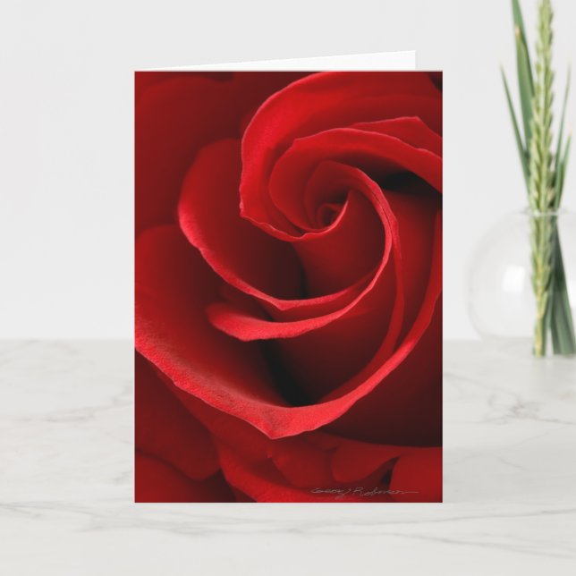 Carte de voeux Red Rose (Devant)
