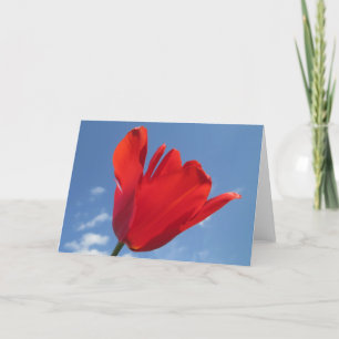 Carte de voeux - Red Tulip Blue Sky
