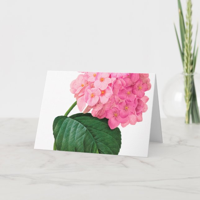 Carte de voeux Redoute Pink Hydrangea (Devant)