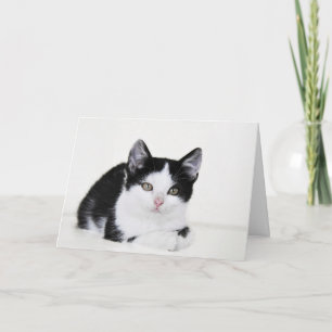 Carte de voeux réfléchie blanche noire de chaton
