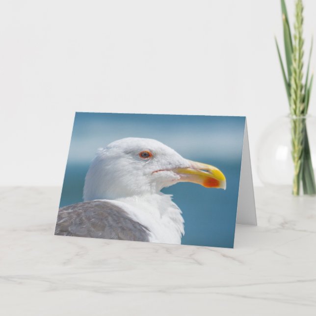 Carte de voeux - Regal Seagull (Devant)