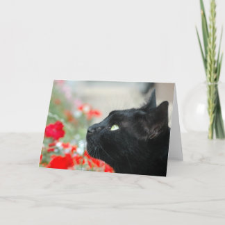 Carte de voeux - Regarder