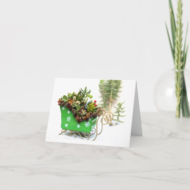 Carte de voeux remplie par Succulent de vacances (Devant)