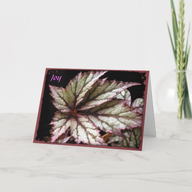 Carte de voeux Rex Begonia (Devant)
