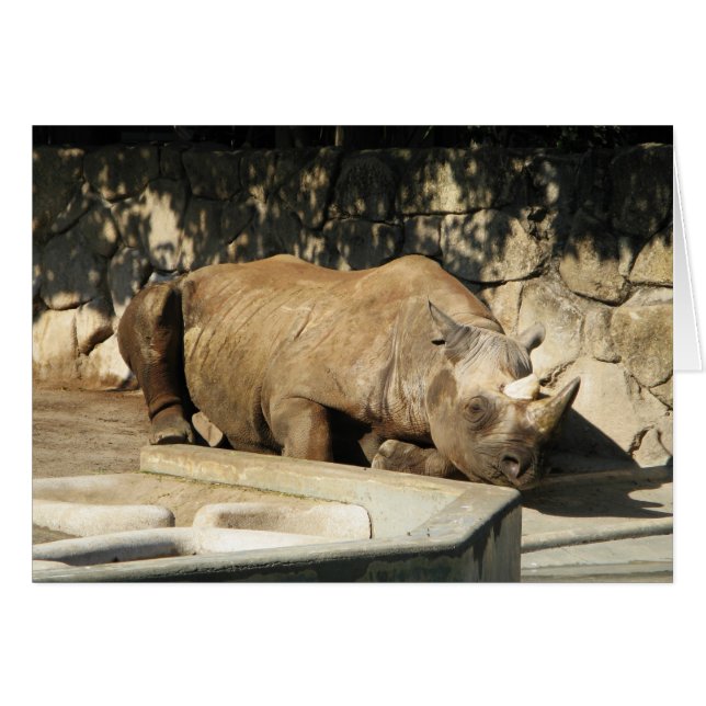 Carte de voeux Rhino couchage (Devant horizontal)