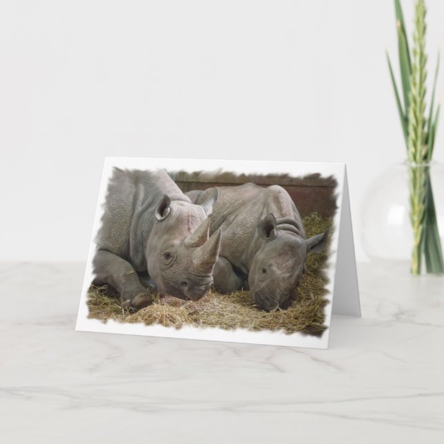 Carte de voeux Rhinos couchage (Devant)