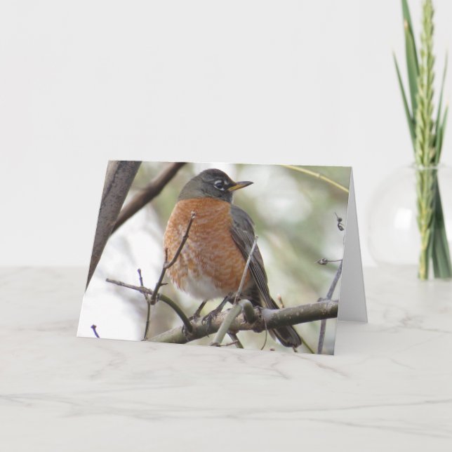 Carte de voeux Robin American (Devant)