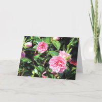 Carte de voeux rose de camélias