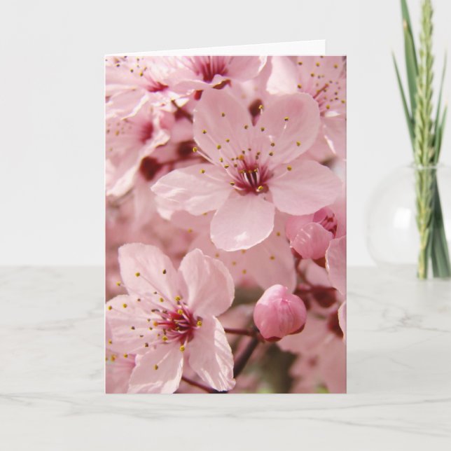 Carte de voeux rose de fleurs de fleur d'arbre de (Devant)