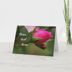 Carte de voeux rose et coccinelle