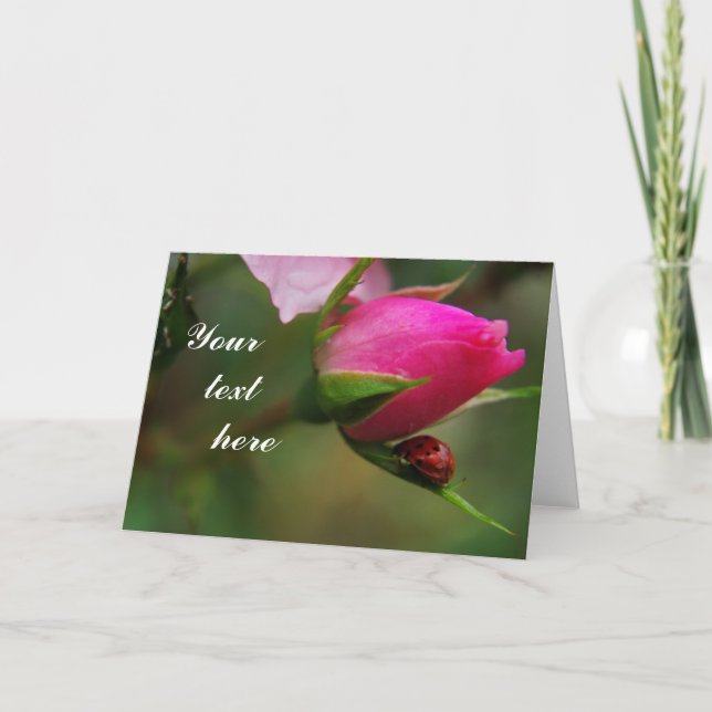 Carte de voeux rose et coccinelle (Devant)