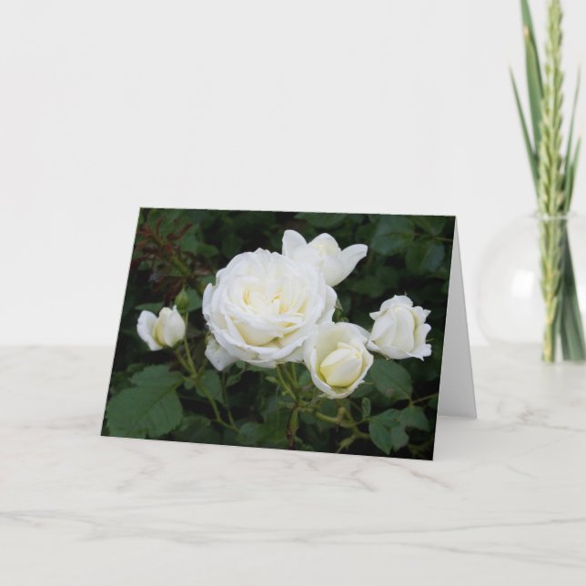 Carte de voeux Roses blanches (Devant)