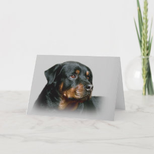 Carte de voeux Rottweiler