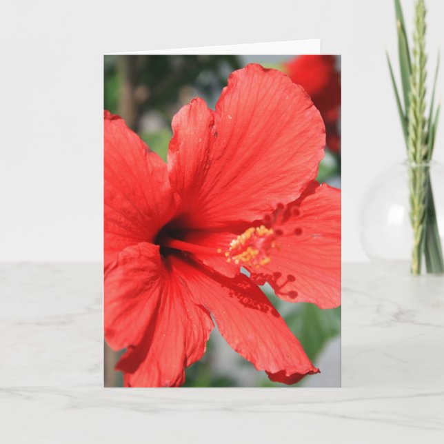 Carte de voeux rouge Hibiscus Flower, carte de not (Devant)