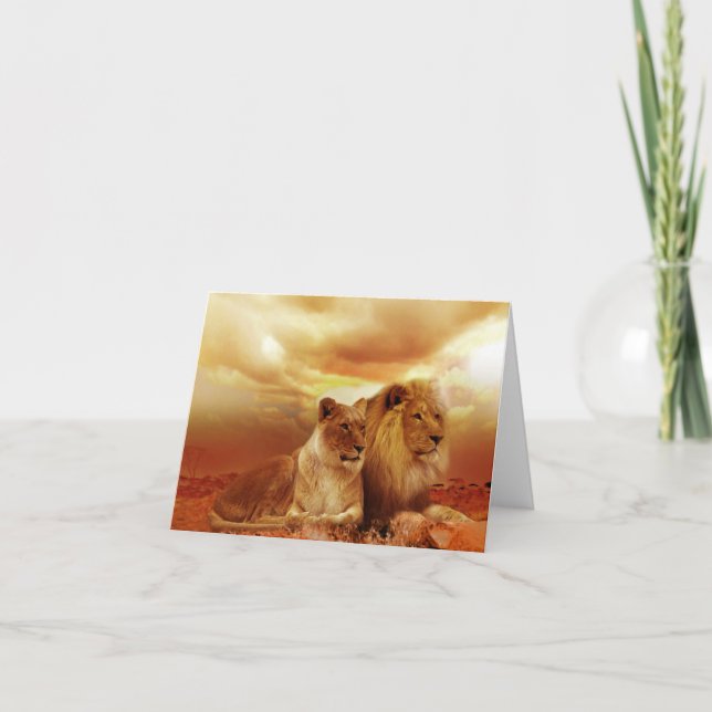 Carte de voeux Safari Lions (Devant)