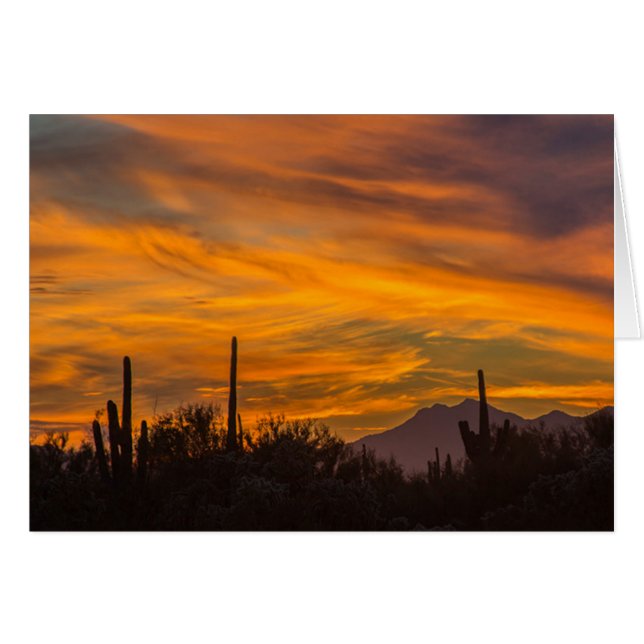 Carte de voeux Saguaro Desert Sunset Photo (Devant horizontal)